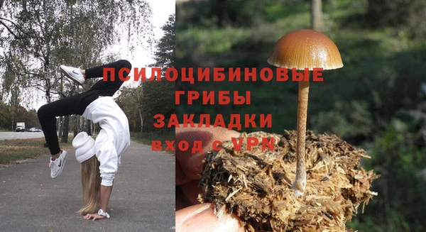индика Лиски