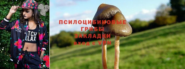 тгк Липки