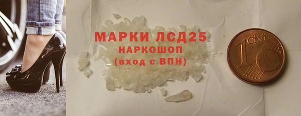 прущие грибы Лабытнанги