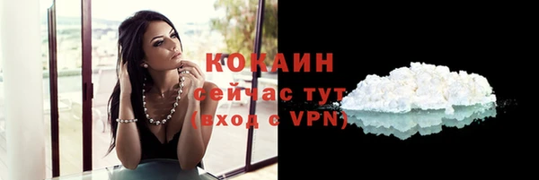 прущие грибы Валуйки