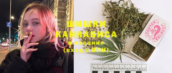 бошки Ладушкин