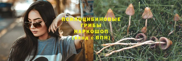 бошки Лихославль