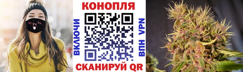 цены наркотик Ладушкин МАРИХУАНА сатива